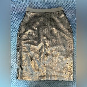 Banana Republic Champagne Sequin Pencil Skirt - Size 4 (Petite)